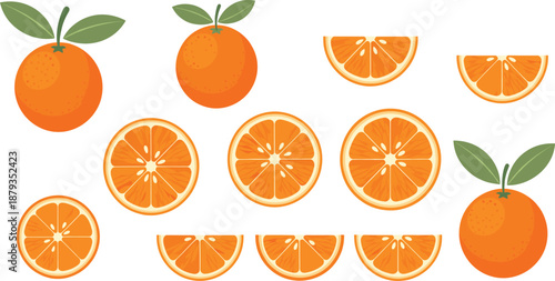 Fresh orange fruit illustrations featuring whole oranges, slices, halves, and citrus segments for food, healthy eating, and design projects