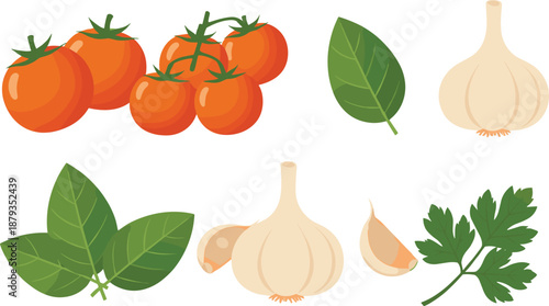 Fresh vegetable and herb illustration set featuring tomatoes, basil leaves, garlic bulbs, cloves, and parsley for cooking designs