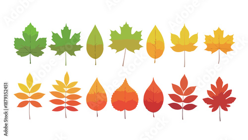 A collection of stylized autumn leaves in various shapes and colors, transitioning from green to yellow, orange, and red.