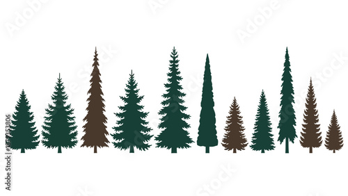 A collection of various coniferous trees of different heights and shades of green and brown.