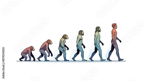 Illustration depicting the evolutionary stages from ape-like ancestors to modern humans walking upright.