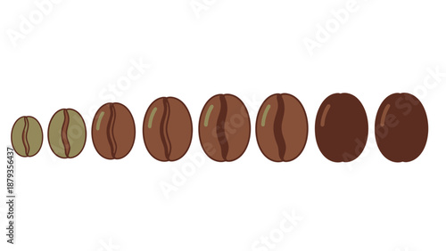 A row of coffee beans showing a gradient of color from light brown to dark brown, representing different roast levels.