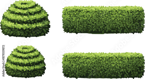 Green garden hedge and bush set with trimmed topiary shapes, landscaping foliage elements, realistic leafy shrubs collection, natural outdoor design illustration