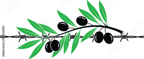 Conceptual illustration of a green olive branch with black fruit growing through sharp black barbed wire on a white background representing peace and liberty