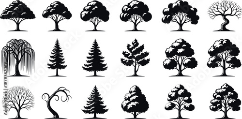 Huge Vector Collection of Hand Drawn Botanical Flowers Garden Plants Desert Cactus Pampas Grass Public Park Landscapes and Anatomical Tree Branch Silhouettes for Creative Design