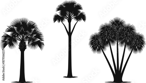 Palm tree silhouette set illustration featuring tropical fan palms, exotic nature elements, minimal black botanical design, summer travel concept isolated on white background