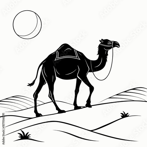 Camel in the desert