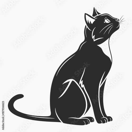 Black cat silhouette