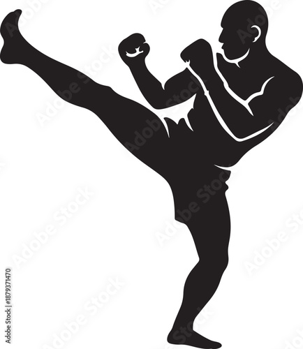 Kickboxing Martial Arts Athlete fighter silhouette performing high kick training strength balance combat fitness