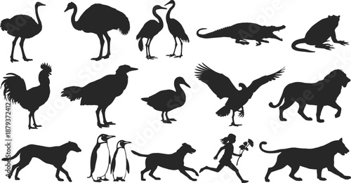 Animal silhouette collection with birds mammals reptiles and human figure, wildlife farm zoo animals set, black flat vector illustration icons pack