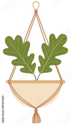 Green oak leaves in a beige macrame plant hanger with brown rope