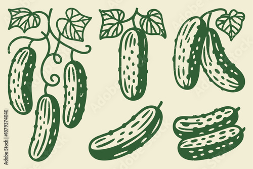 Several green cucumbers with leaves and vines a light yellow background in a rustic linocut style vegetable