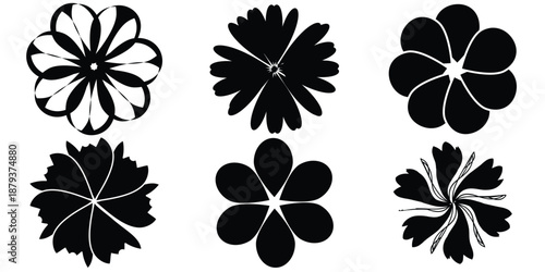 Black Daisy Chamomile silhouette icon set line. Simple different shape. Cute flower collection. Love card symbol. Growing concept. Flat design. Isolated. White background. Vector eps 10