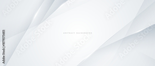 gray and white abstract background modern vector illustration