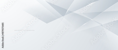 gray and white abstract background modern vector illustration