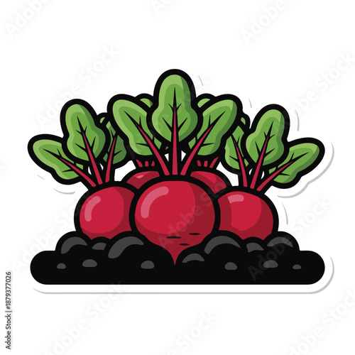 A cartoon illustration of three red beets with leafy greens growing out of a pile of dark soil