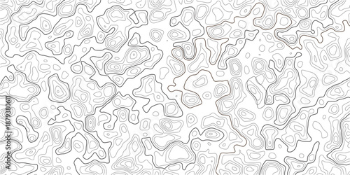 Abstract Topographic Lines Pattern
