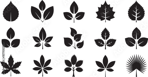 Black leaf silhouettes on white background leaves