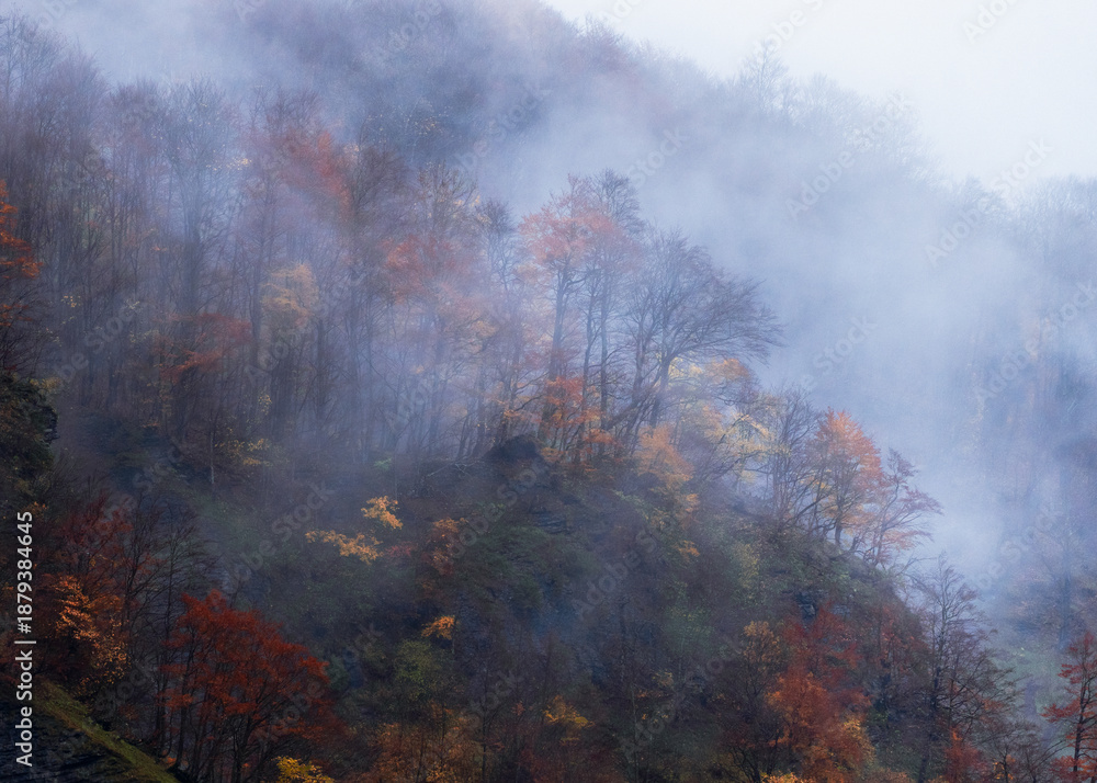 Fototapeta premium Autumn leaves and mountains in fog.
