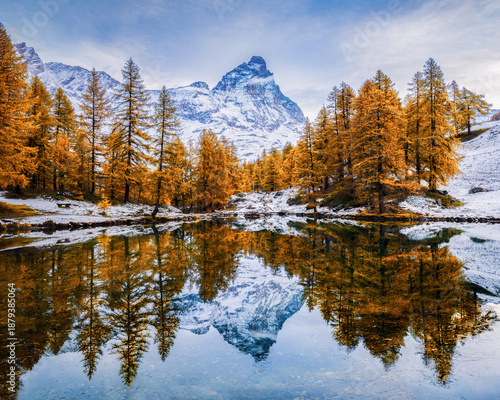 Photos Matterhorn and golden larch trees with reflection in pond.