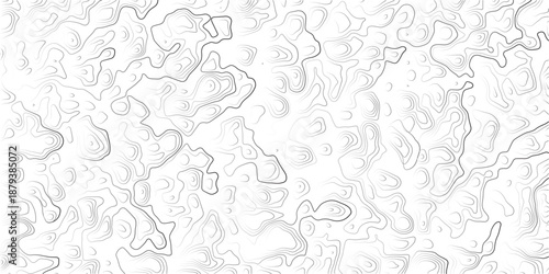 Modern Minimalist Grey White Topography