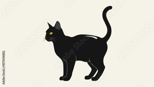 Elegant Black Cat Standing Profile View.