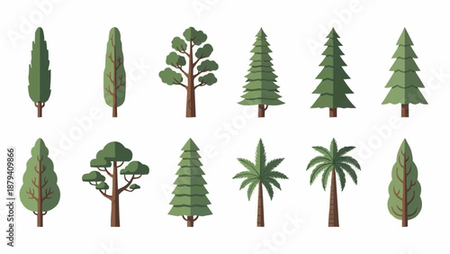 Collection of diverse evergreen trees and coniferous plants.