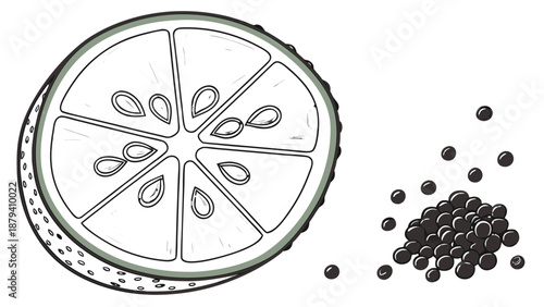 Hand-drawn lime half cross-section and peppercorns pile sketch,  A line art sketch with muted green tones showing a cross-section of a lime next to a small pile of black peppercorns