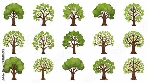 Collection of diverse green trees with detailed leaves and branches.