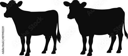 Black cow silhouette side view set, standing cattle pair, farm livestock animals, rural agriculture concept, clean isolated vector illustration