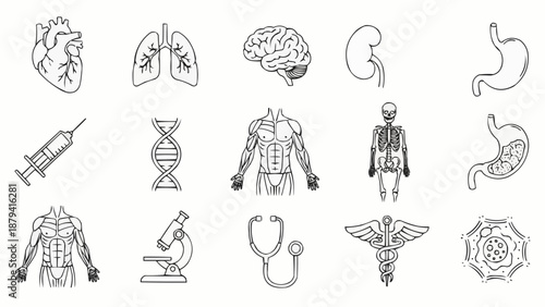 Collection of Medical Icons Representing Human Anatomy and Science.