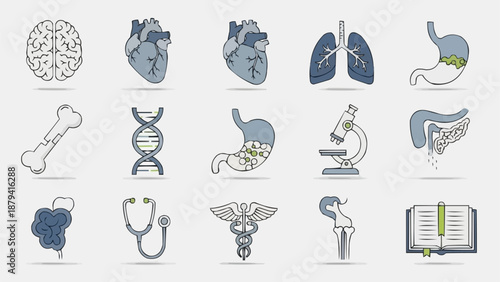 Collection of Medical Icons Representing Human Anatomy and Science.