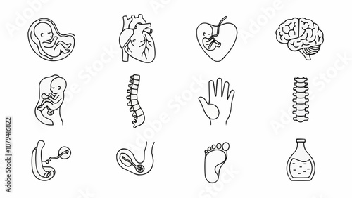 Collection of Medical Human Anatomy Icons Vector Illustration.