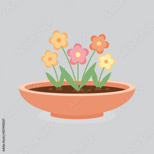Colorful Spring Flowers Blooming in a Terracotta Pot