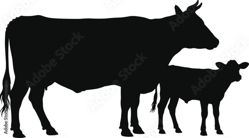 Cow and calf silhouette illustration, farm livestock animal pair, black cattle shapes isolated on white background, flat vector design for agriculture themes