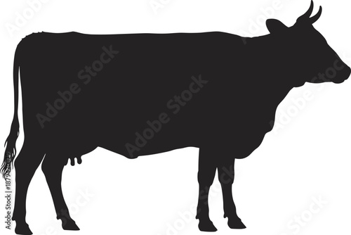 Cow silhouette side view illustration, farm livestock dairy animal isolated on white background, agriculture rural farming concept black flat vector design