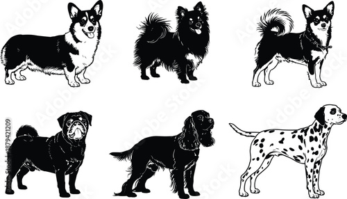 Dog breed illustration set with detailed hand drawn style, domestic pet dogs collection, black and white vector artwork isolated on white background