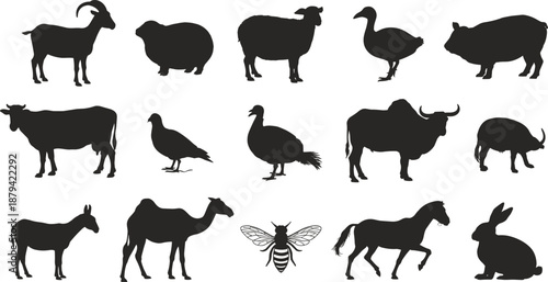 Farm animal silhouettes collection, livestock pets birds insects icons set, rural agriculture wildlife concept black shapes flat vector illustration design