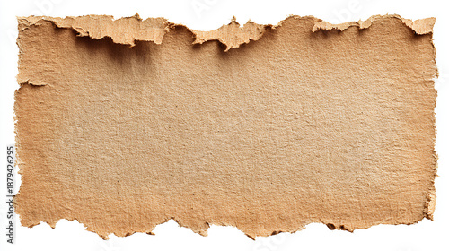 Wallpaper Mural Vintage torn or ripped kraft paper realistic torn cardboard paper edges old torn brown paper texture on white background stock illustration Torontodigital.ca