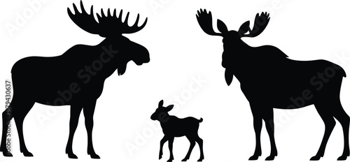 Moose family silhouettes, bull cow and calf standing together, wildlife animal shapes, black vector illustration isolated on white background