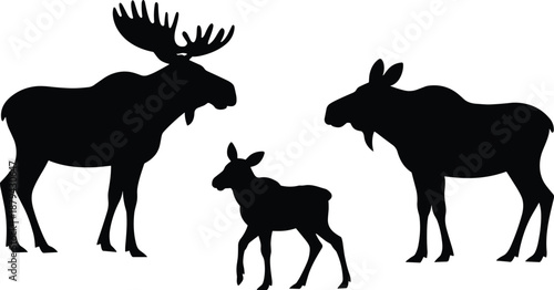Moose family silhouettes, adult bull cow and calf wildlife scene, animal profile shapes, black vector illustration isolated on white background