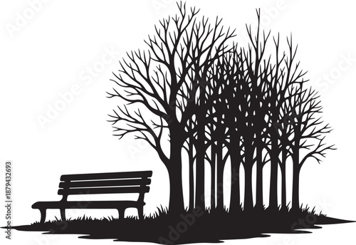 Serene park scene with empty bench and bare trees