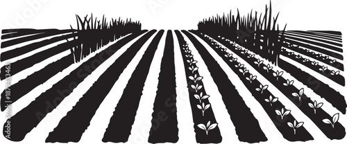 Black and white illustration of a growing farm landscape