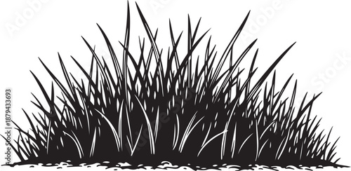 Black and white illustration of tall grass on ground