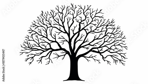 A barren tree stands isolated with bare branches against a stark white background viewed from the front