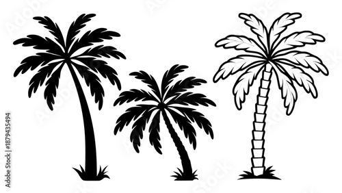 Illustration of three palm trees with varying trunk curvatures and leaf structures standing alone on a plain white background from a straight-on viewpoint