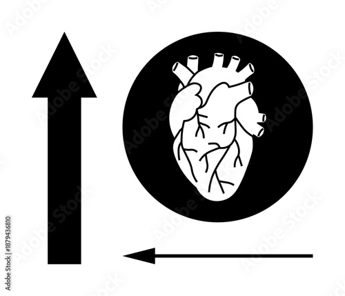 Human heart symbol. Human heart design combined with directional arrows movement, progression, or navigation. Human heart for biology, health, progress, medical concepts, and direction