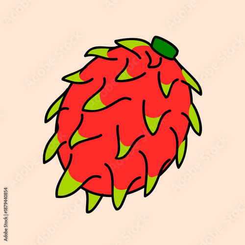 An illustration of single dragon fruit.
