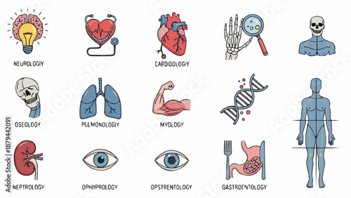 Medical Icons Representing Different Human Body Systems and Specialties.