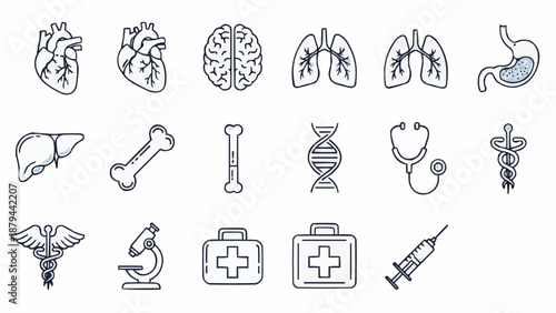 Medical Icons Set Human Anatomy And Science Symbols.